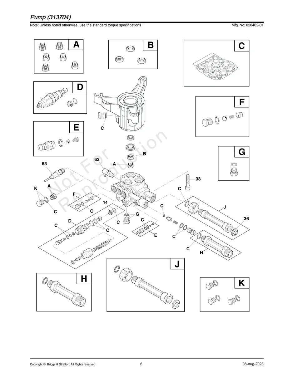 BRIGGS AND STRATTON, 020462-01, IPL.6